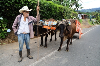 Ah, let's ride! / ***