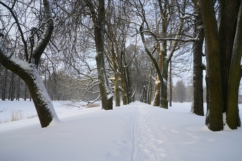 In Winter Park / ***
