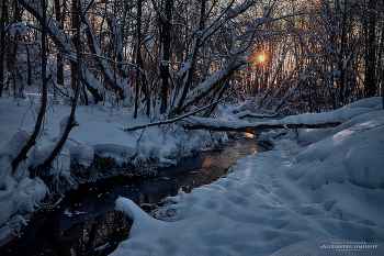 the small Alka river in its snowy robes / January afternoon in a snowy forest