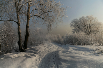 frosty trails / ***