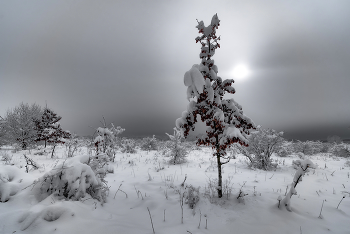 Loneliness ... / ***