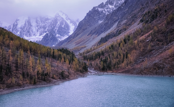 On a cloudy day in Altai in autumn / ***