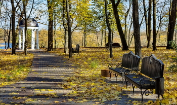 In the autumn park. / ***