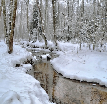 Winter road / ***