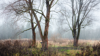 Autumn melancholy / ***