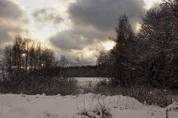 After a snowfall. / ***