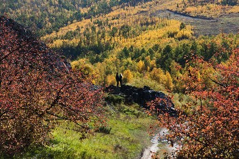 on autumn background / ***