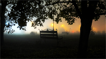 Misty autumn / ***