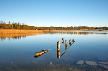 am Wallersee / am Wallersee