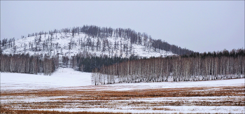 Winter Ural / ***