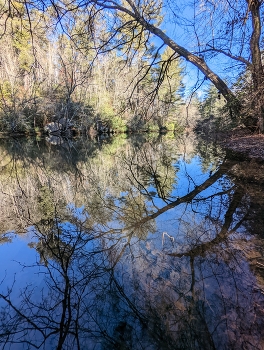 Water Reflections / A reflective portion of water inside of Cumberland Mountain State Park.