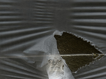 Old face / zerknittert