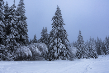 Winter evening. / ***