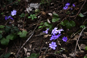 Oasis / https://www.instagram.com/vaguro_v_u_v