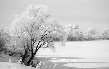 On the Oka River. / ***