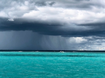 Before the rain / ***