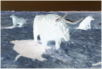 ghosts of the past / ***