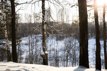 Winter landscape / ***