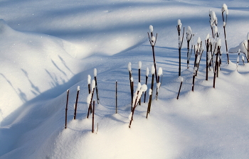 Winter etude. / ***