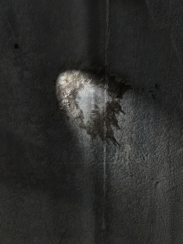 Falling from Grace / In the moonlight