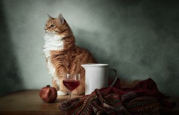 curiosity / ***