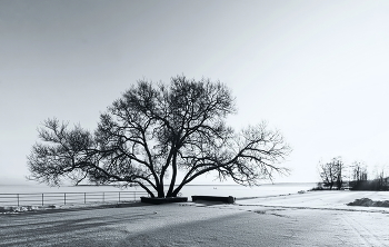 Winter on the Lake / ***