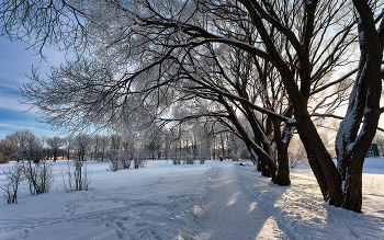 In Winter Park ... / ***