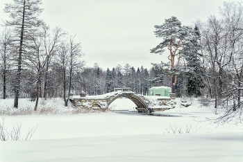 In the Gatchina Park / ***