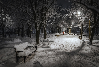 After snowfall / ***