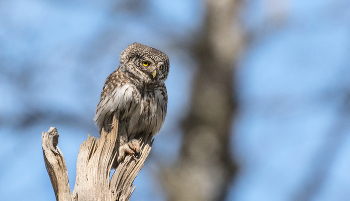 high sitting - look away ... / ***