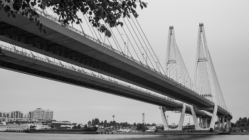 Large Obukhov Bridge / ***