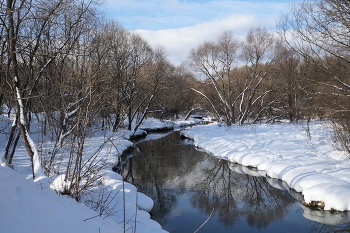 Outgoing winter / ***