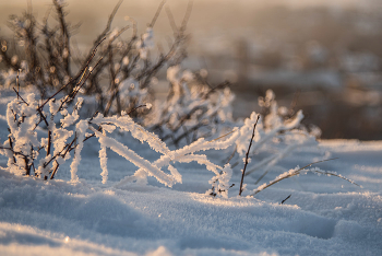 Snow / ***