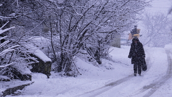 First day of spring / ***