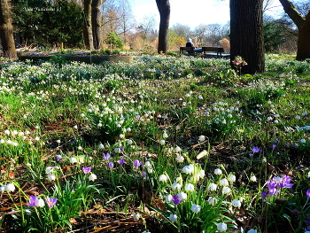 Planten un Blomen Hamburg / ***