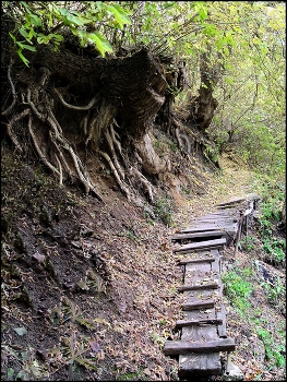 trail / ***