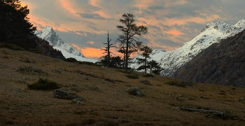 Dawn in the mountains / ***