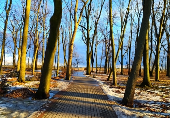 farewell to winter / ***