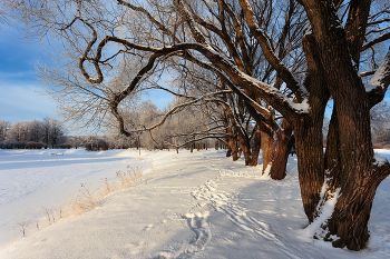 In Winter Park ... / ***