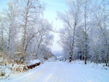 Winter road / ***