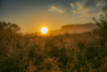 the sun / ***