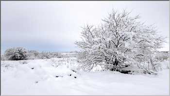 white winter / ***