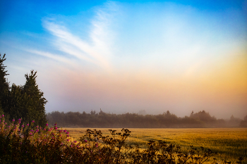 In the morning / ***