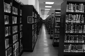 in the library / ***