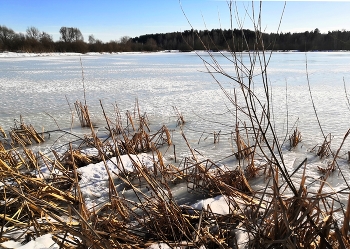 Pano Spring / ***