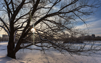 In Winter Park ... / ***