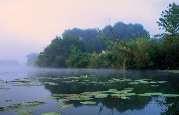Overcast morning. / ***