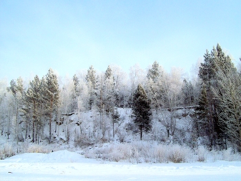 Winter road / ***
