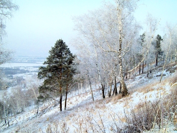 Winter road / ***