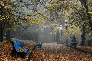 In the fall the park ... / ***